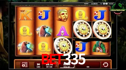 A Experiência Imersiva dos Cassinos Ao Vivo no bet335